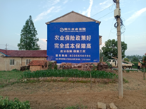 望江墙体广告的优劣势你知道吗？